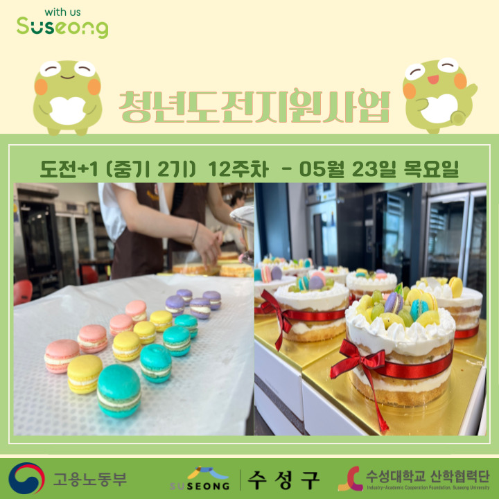 중기 2기 12주차