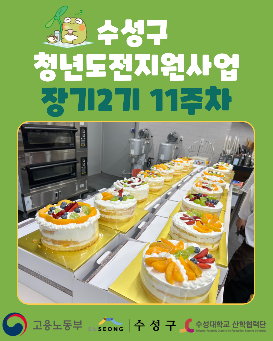 장기2기 11주차